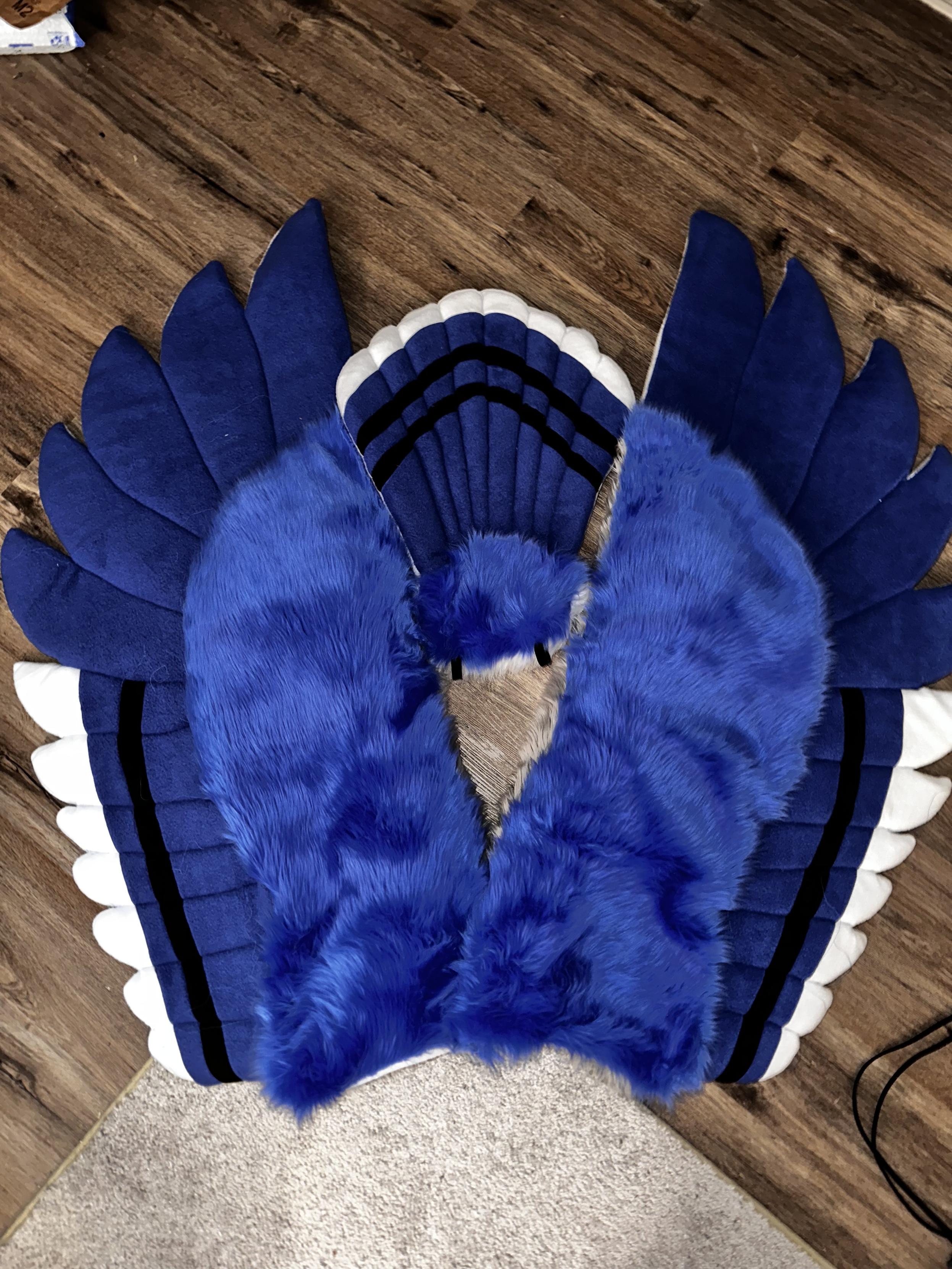 Costume wings roughly resembling a blue jay on the floor with a tail of similar look