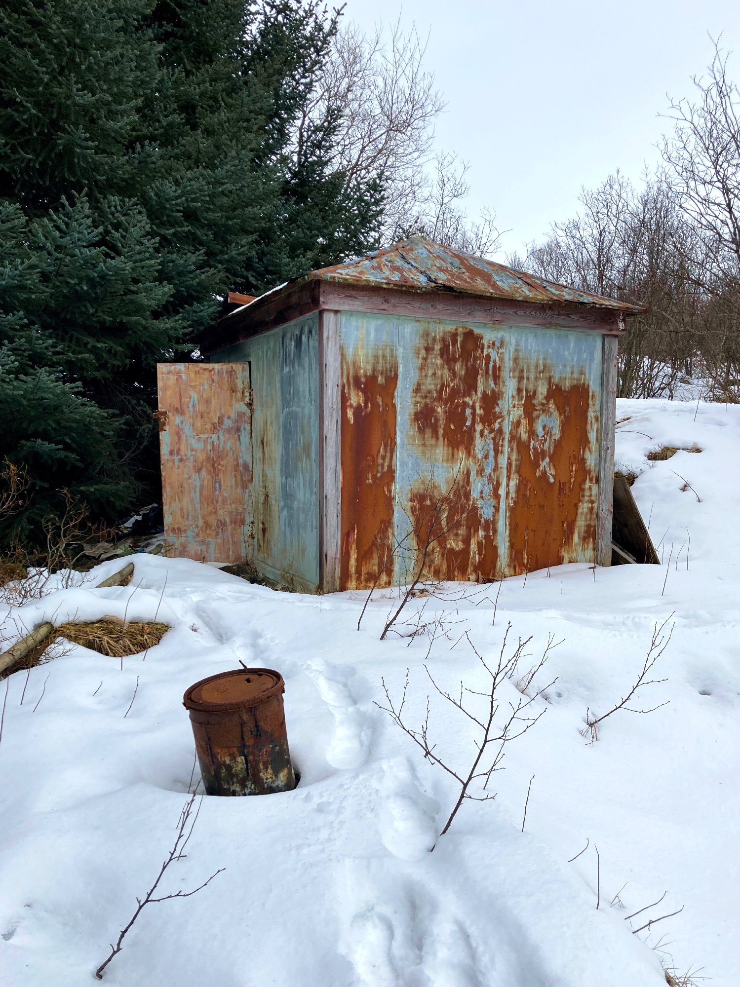 An old rusty shed surrounded by trees and snow.
