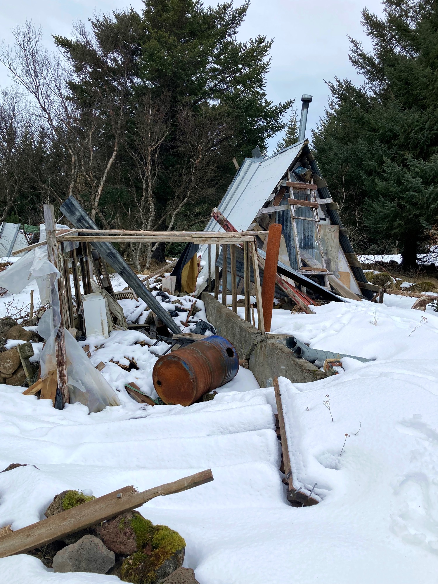 The remnants of old summer cabins surrounded by trees and snow.