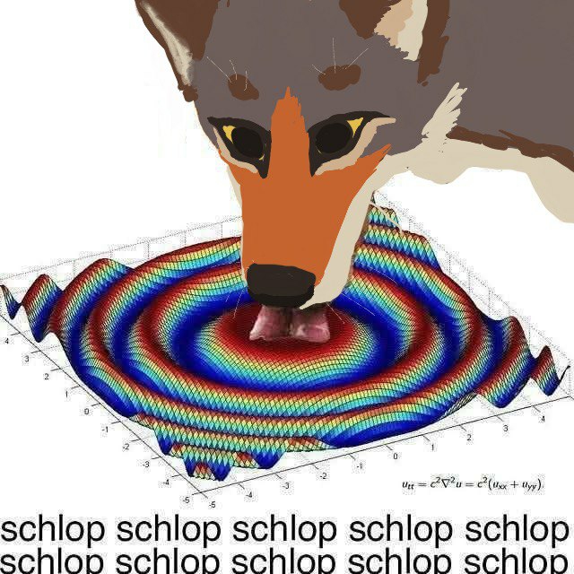 coyote schloping