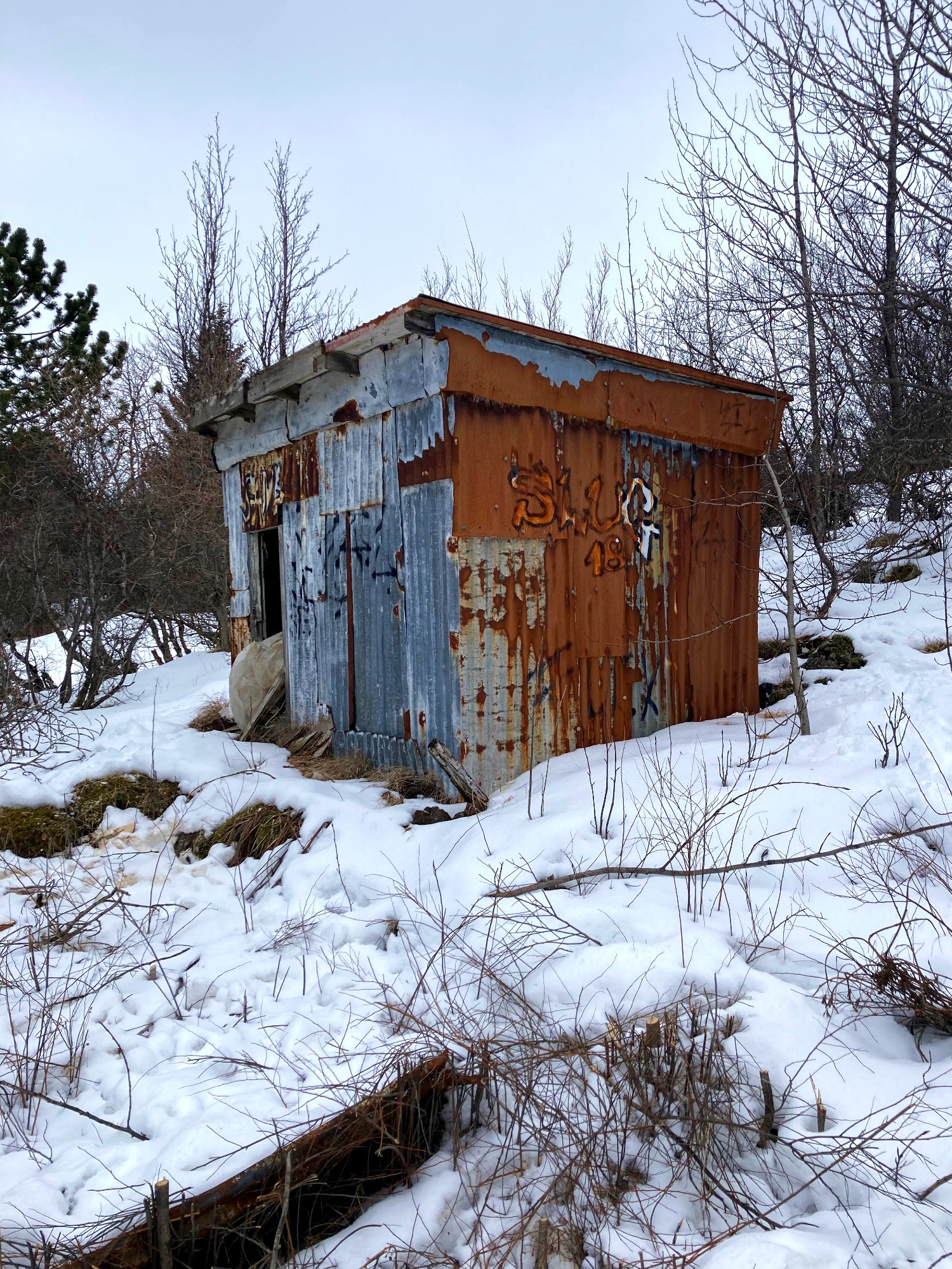 A rusty shed, snow and trees.