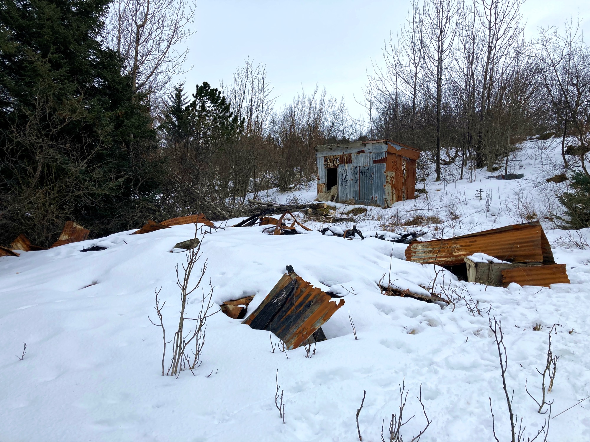 A rusty old shed and what remains of a burnt-down cabin. Oh, and some trees and snow of course.