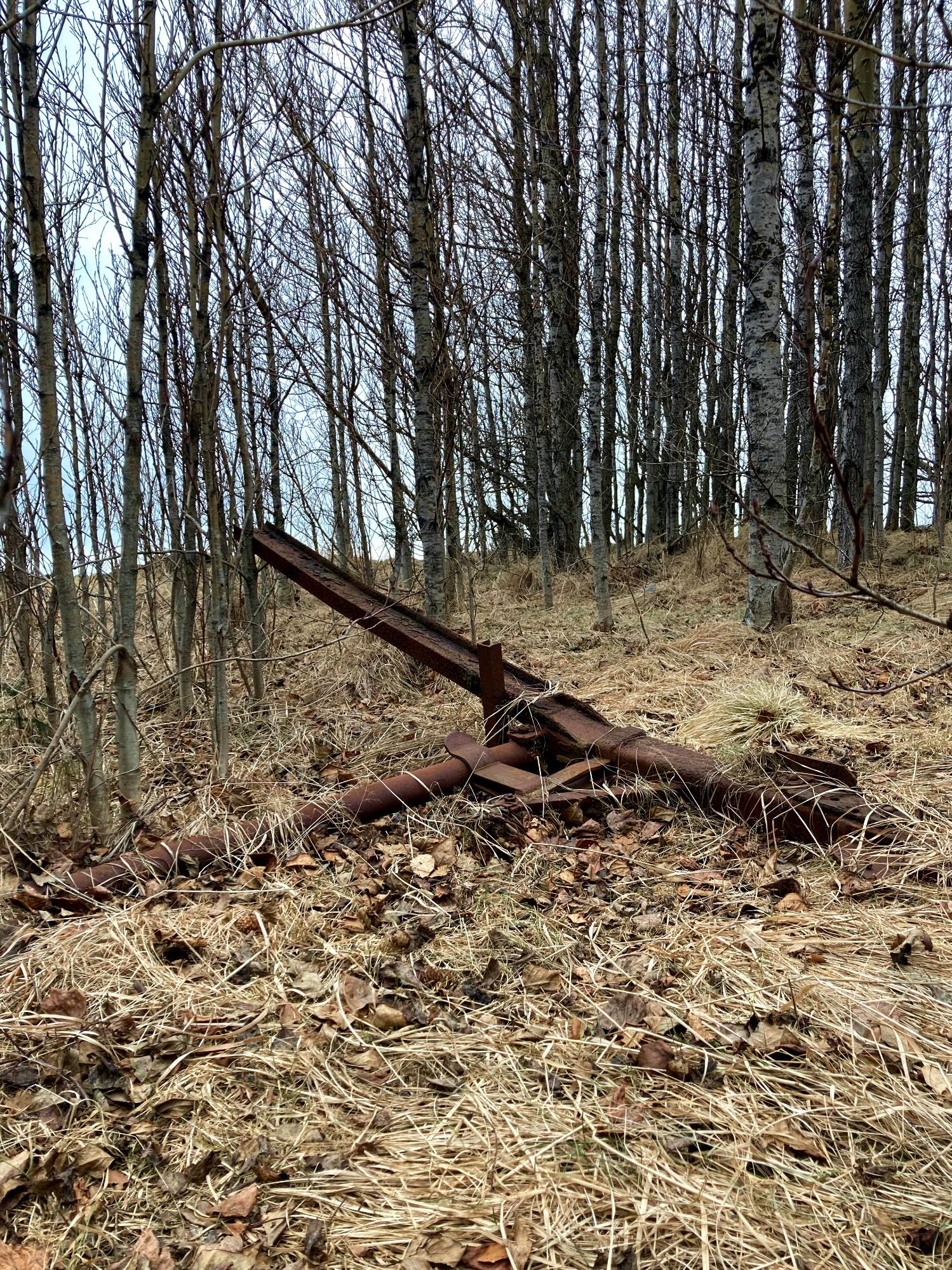 An object rusting in nature.