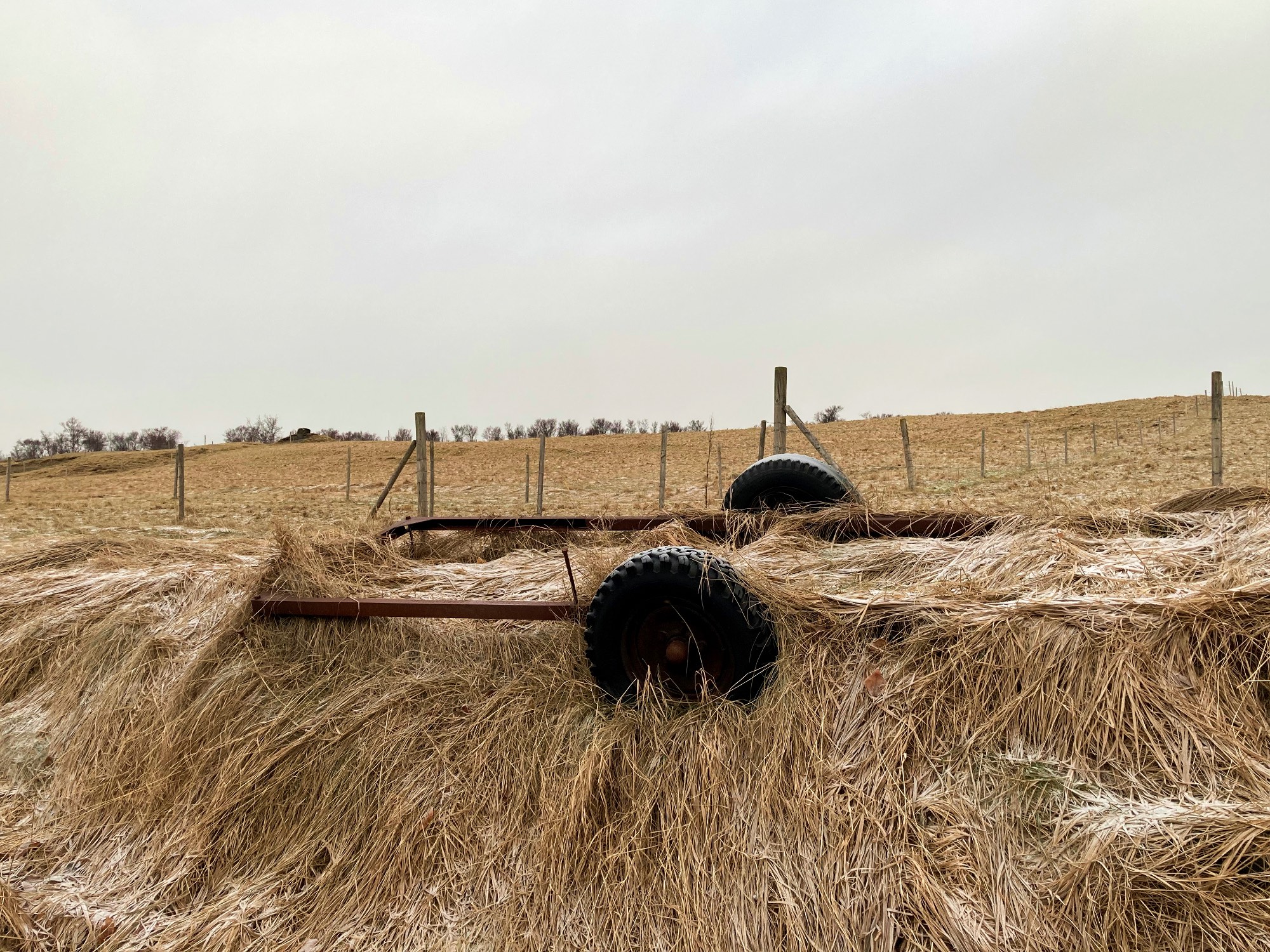 A rusty trailer covered with grass during winter.