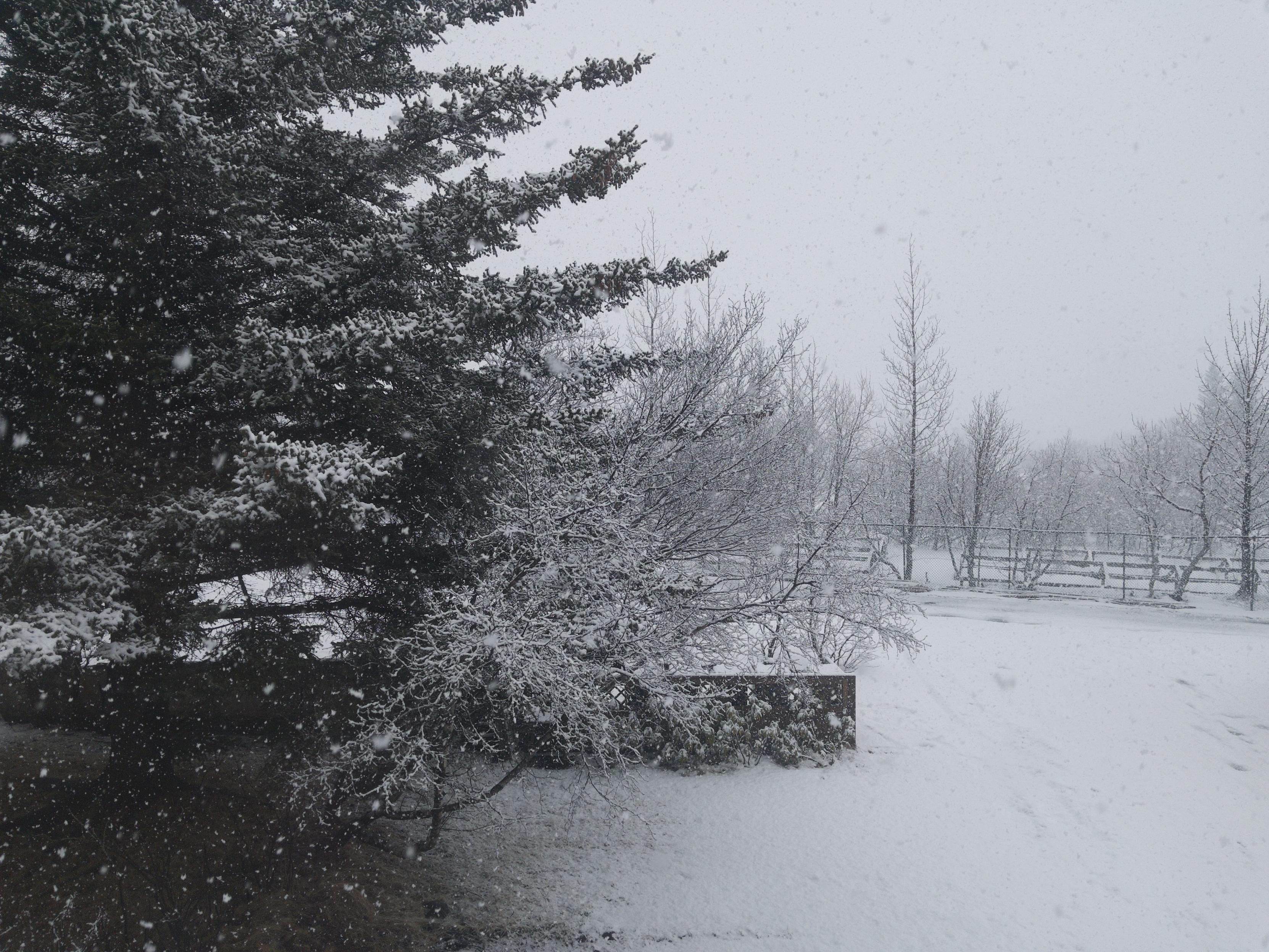Everything outside my window is covered with snow. It’s snowing. You can’t even see the mountains