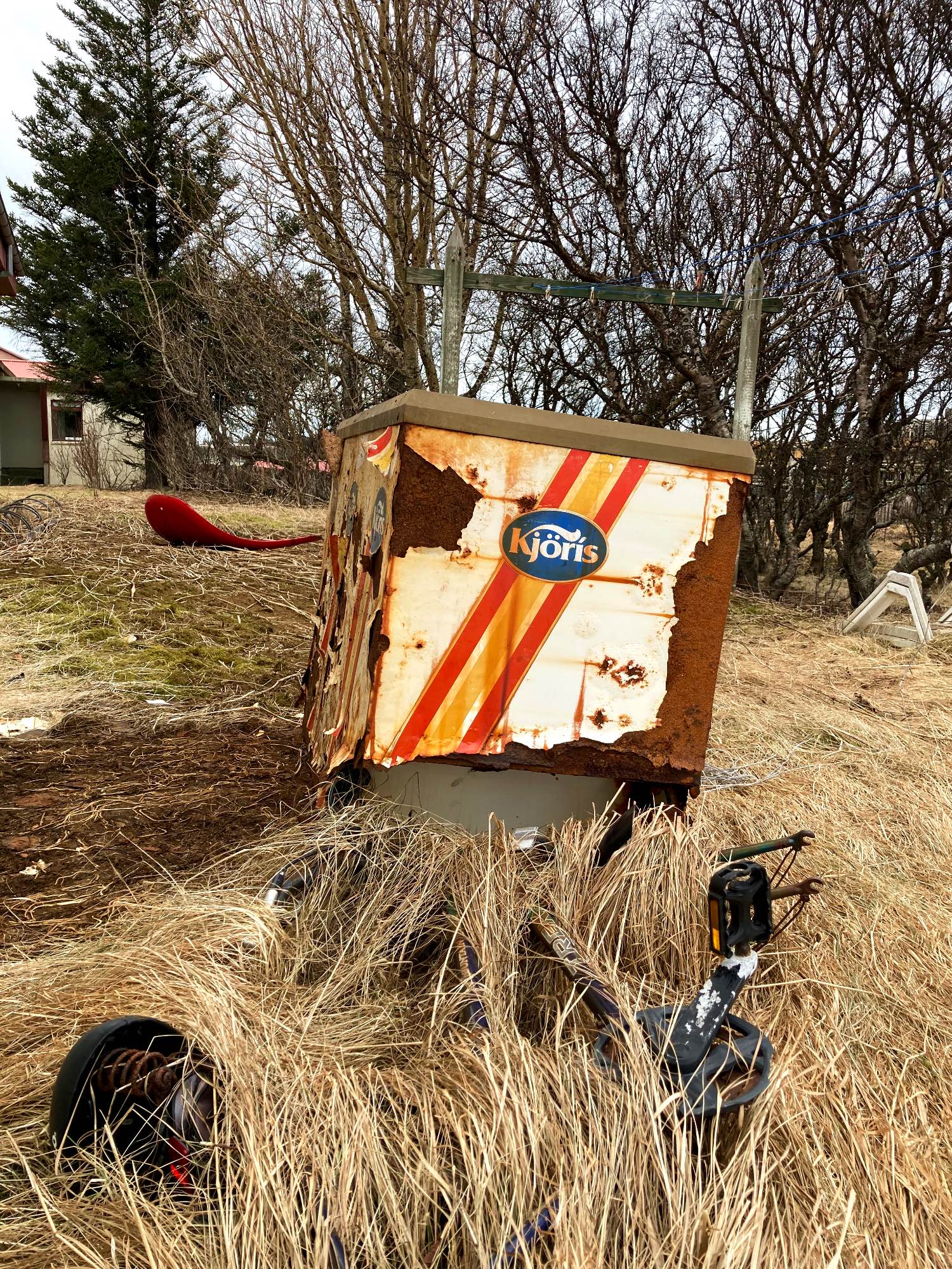 A rusty abandoned freezer for ice cream and a discarded bicycle covered with grass.
