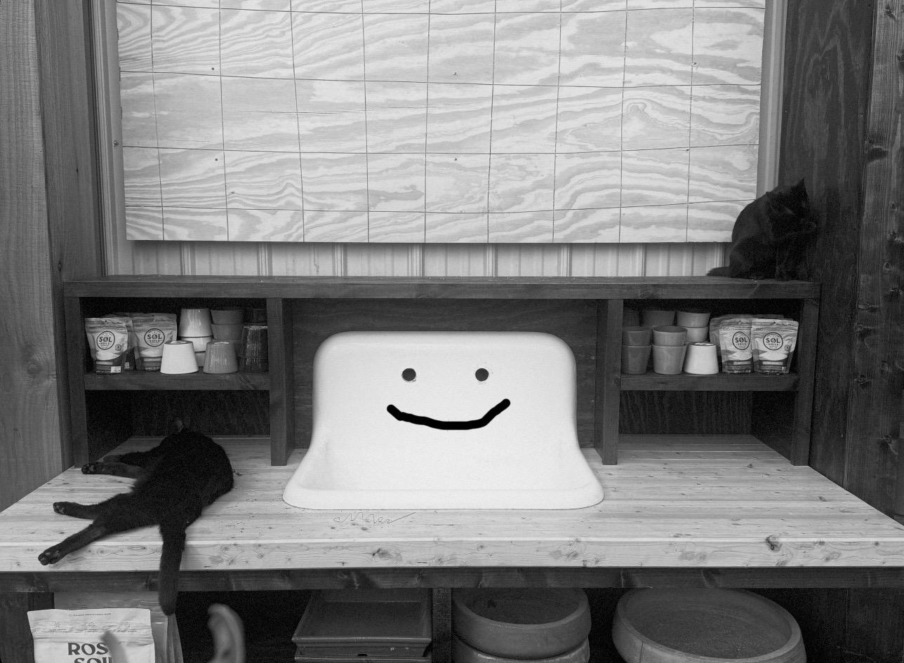 adam’s pic but a ditto smile drawn under two dots on a sink to make it look like ditto the pokémon