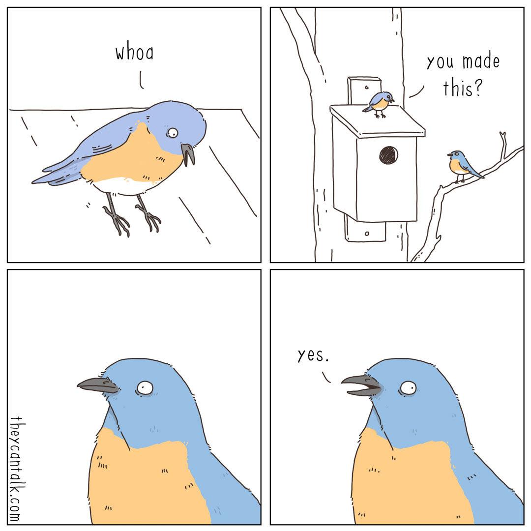 A four panel comic. Panel 1: little bird staying on the slanted roof a bird house, exclaiming "woha!". Panel 2: zoomed out so we can see a nearby branch too, where another bird stands. First bird asks "You made this?". Panel 3: zoomed in second bird's head. It seems to have a panicked expression. Panel 4: second bird looks away, and lies "yes".