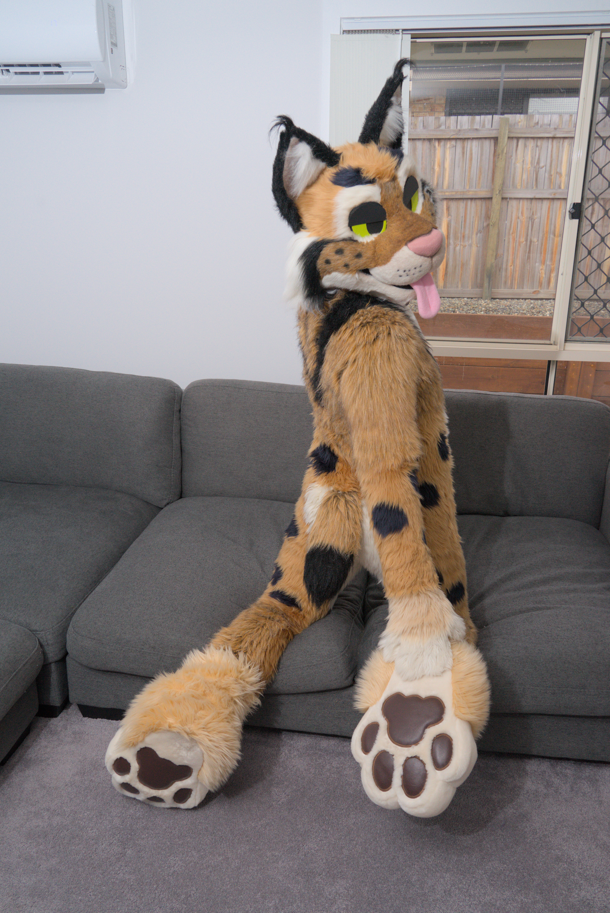 A cat leaning on a couch to show off paws