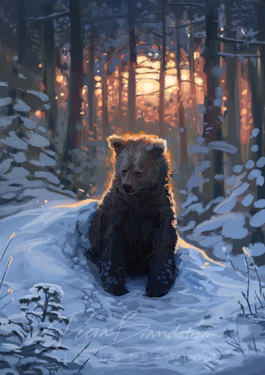 Overslept: Digital painting of a brown bear waking up in a snow covered forest, blinking drowsily at the frosty branches glistening in the setting sun. Artwork made in Krita, by Petra Brandström.