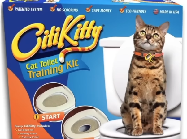 citi kitty cat toilet training kit, apparently to teach your cat to use a human toilet instead of a litter tray