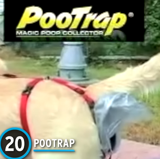 pootrap - basically a plastic bag hanging off a dog's arse