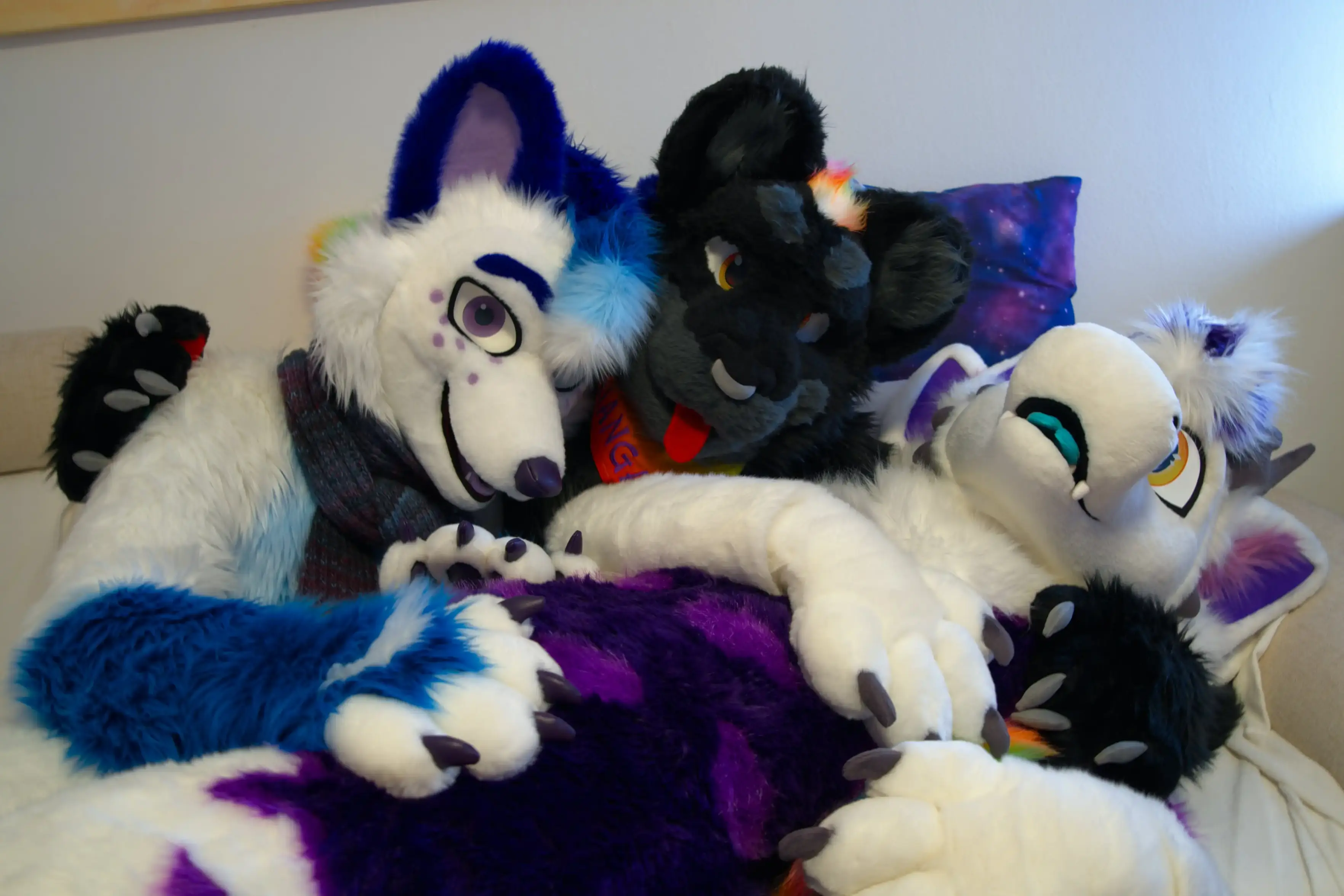 Photo of three fursuiters cuddling on a white couch. Karb, a white dragon with purple markings on their chest is lying across the laps of Polarie, a white arctic fox with blue markings petting his belly, and Kianga, a black jaguar with rainbow stripes with his arms wrapped around both of them.