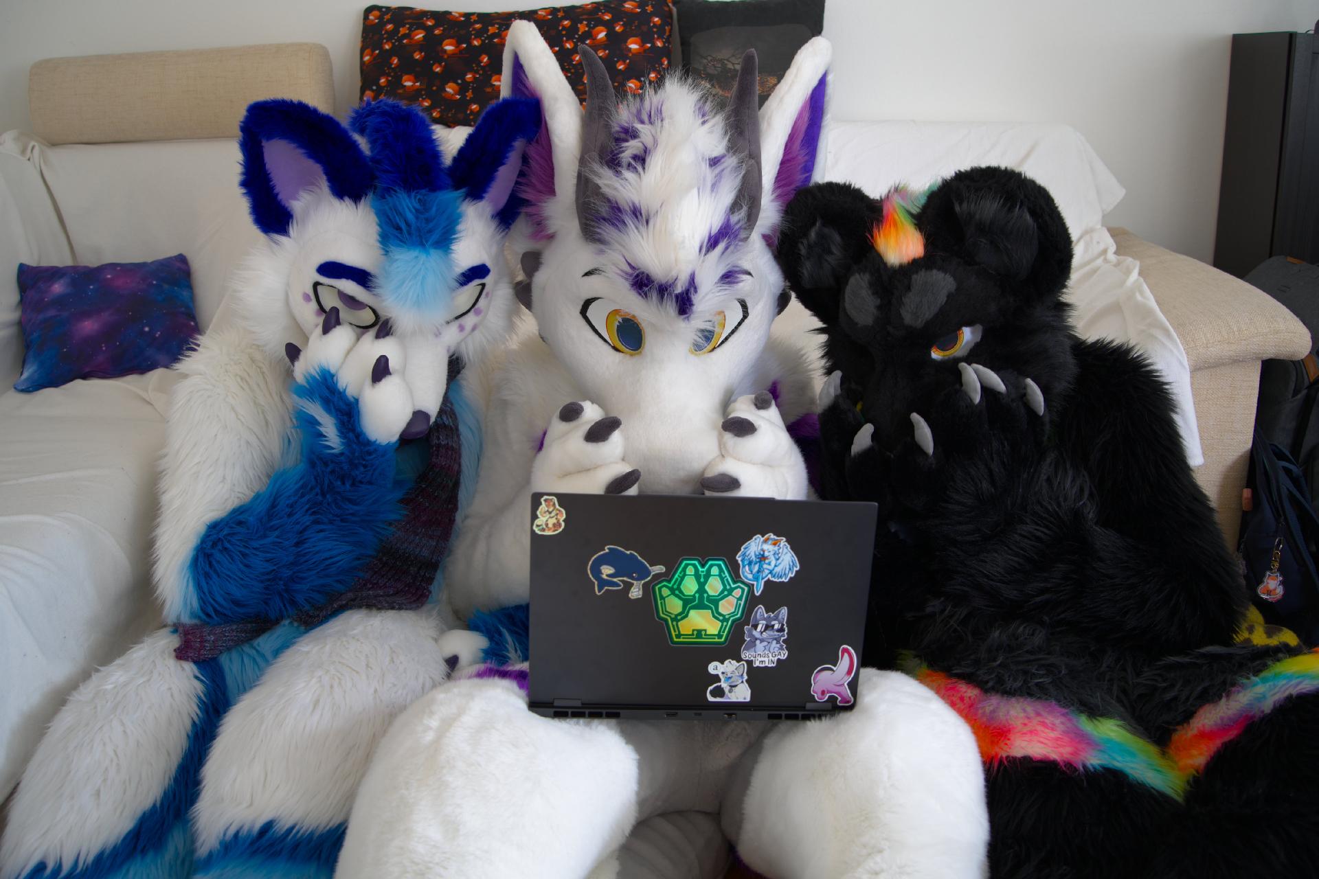 Three fursuiters, a fox, a dragon and a panther, sitting on the ground and looking shocked at a Laptop in front of them