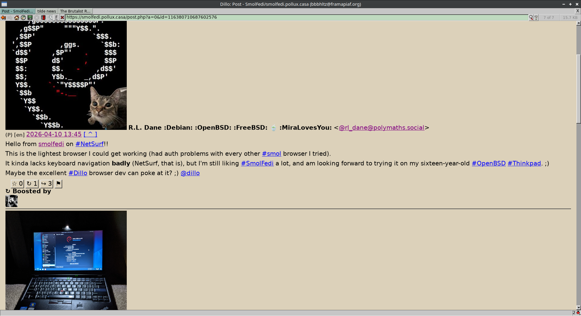 screenshot of parent toot running in Dillo without any CSS