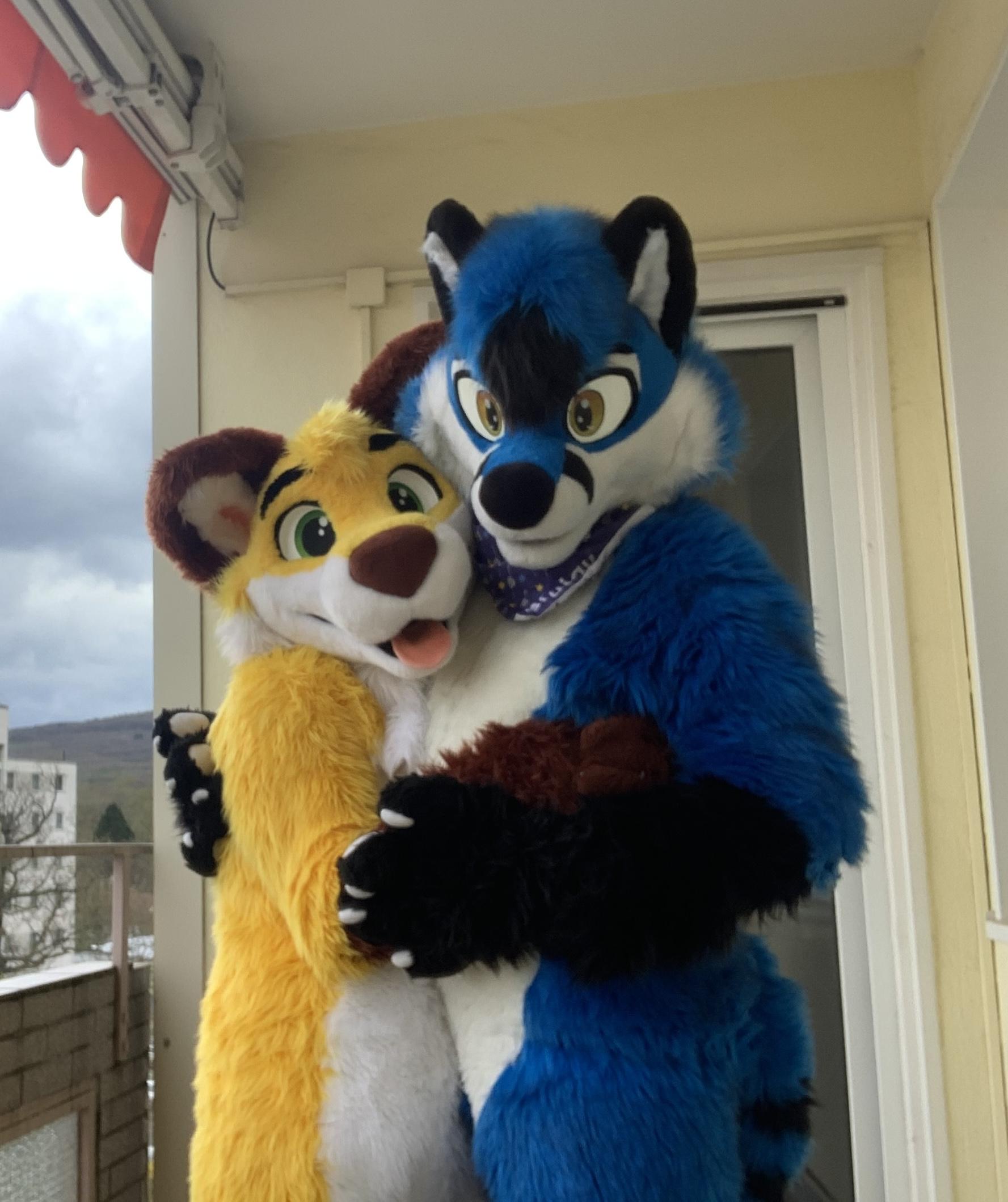 Nico and Blujay, yellow and blue foxes respectively, hugging on a balcony