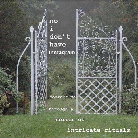 A picture of an ornate gate surrounded by trees The text says, no I don't have Instagram. contact me through a series of intricate rituals ￼
