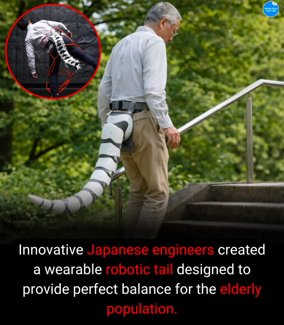 Innovative Japanese engineers created a wearable robotic tail designed to provide perfect balance for the elderly population.