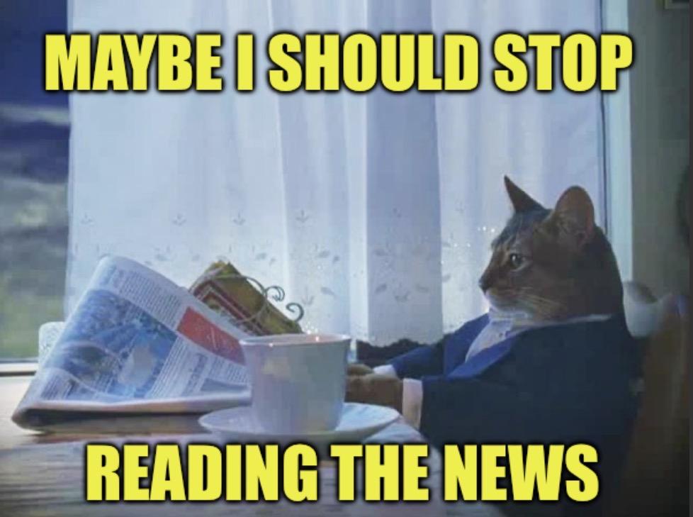A cat with a newspaper with a caption that says : maybe I should stop reading the news