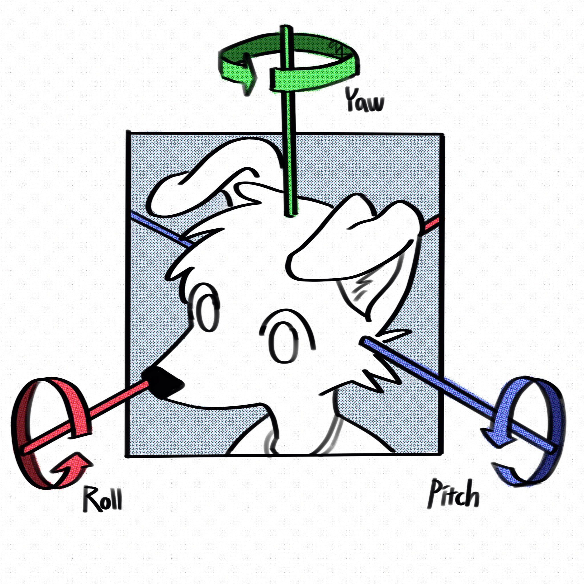 simple black and white drawing of a canine anthro's head, with the pitch, yaw and roll axes marked in blue, green and red respectively image bootlegged from twitter user yupd0wn