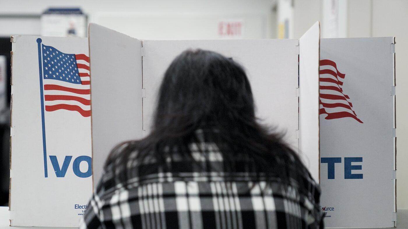 the back of a long haired person in an American voting booth