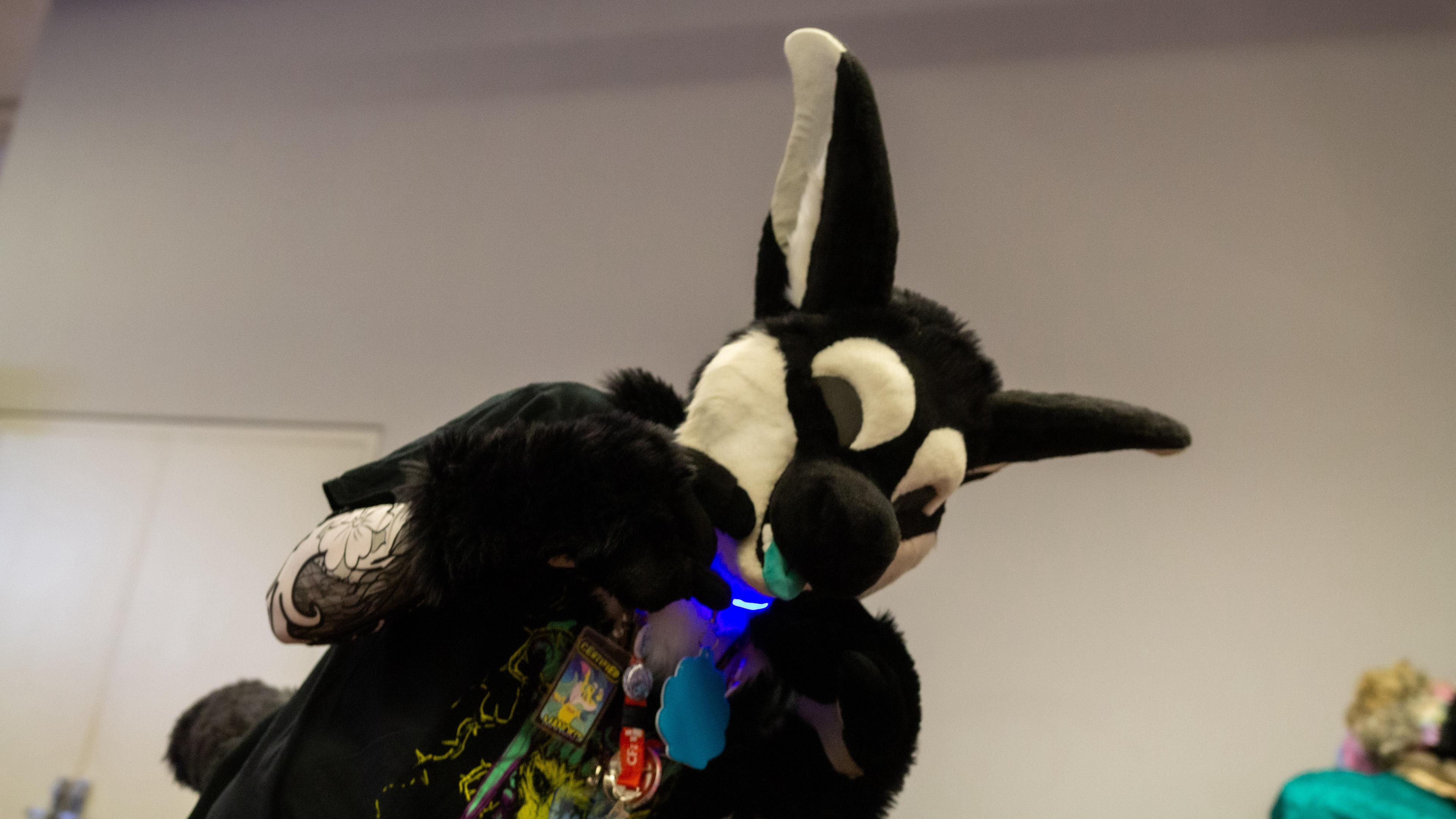 A close up of the manokit leaning over cutely