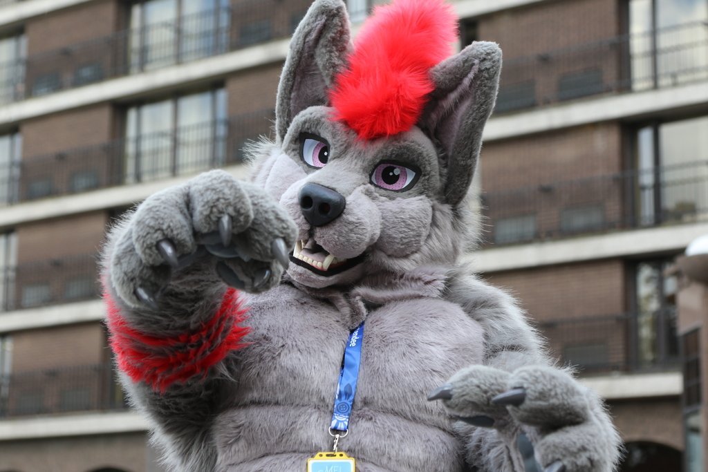 The same scene as the last one, but with focus now on the face, with the paw out of focus.