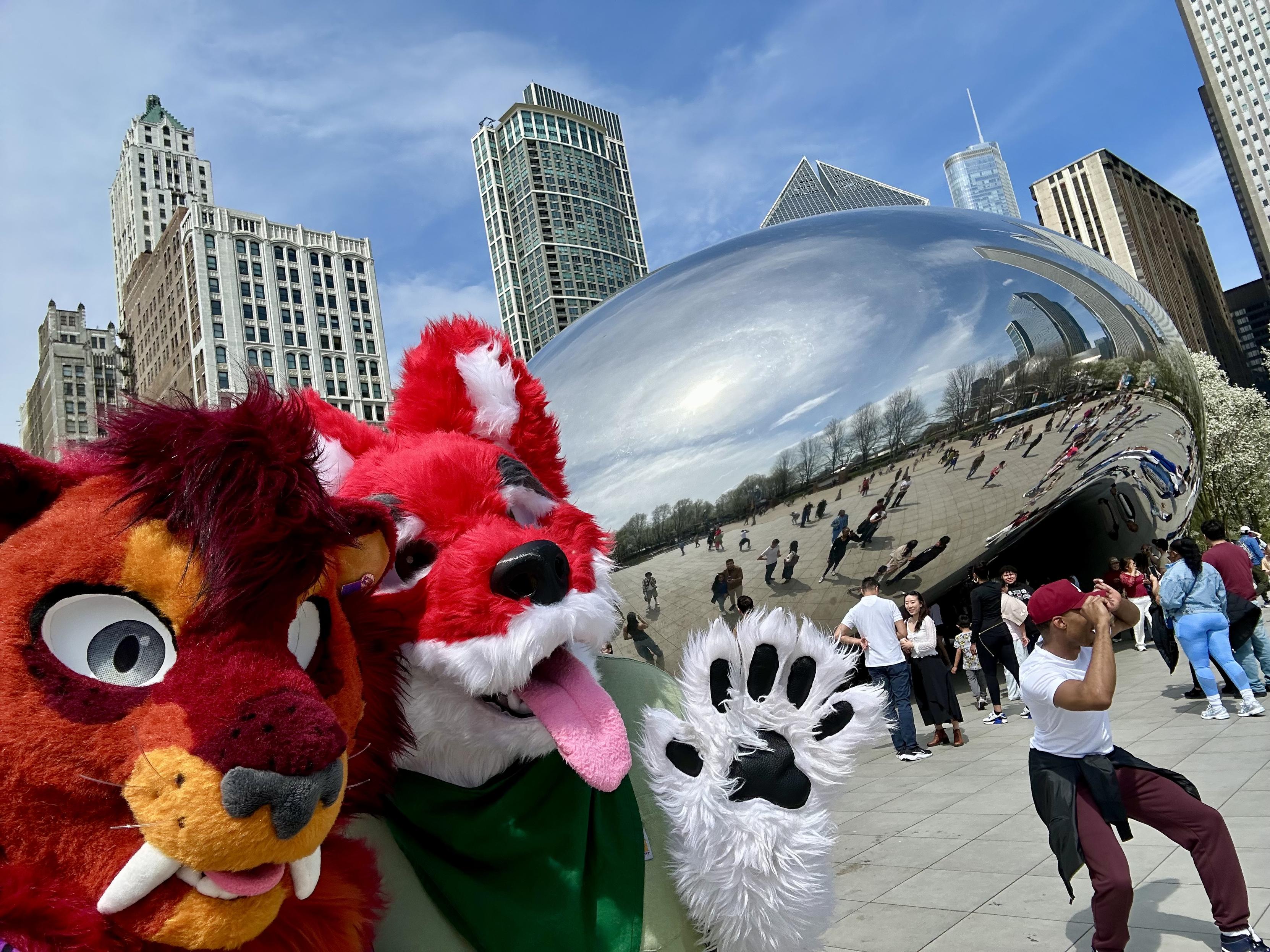Two fursuiters taking a selfie with Cloud Gate in Chicago (aka the Bean). The fursuiter on the left is an orange and yellow sabertooth named Digiit and the one on the right is a red and white doggo named Nave.