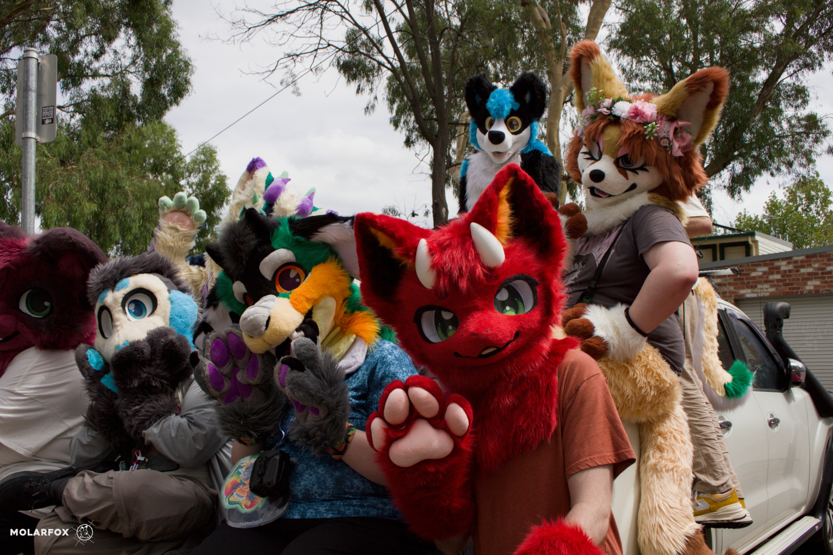 A number of fluffy and colourful fursuiters sit in the back (tray) of a white Nissan Navara 4x4 ute. The picture is shot low and to an angle to the ute itself. The front of the ute is visible in the side of the image. Neon, a red eastern dragon, is at the front of the image raising a paw waving to the camera. Beside them is Fern the dog, raising their paws up towards the camera. To the left of them is Calypso the blue Spaniel, who has their paws raised to their face in an expression of mock surprise, Sitting on the side of the tray, with her tail flowing on the side of the ute, is Indie the Fennec fox. Behind her is Shadowrk9 the wolfdog, sitting on the roof racks and seen peeking out over everyone else.
