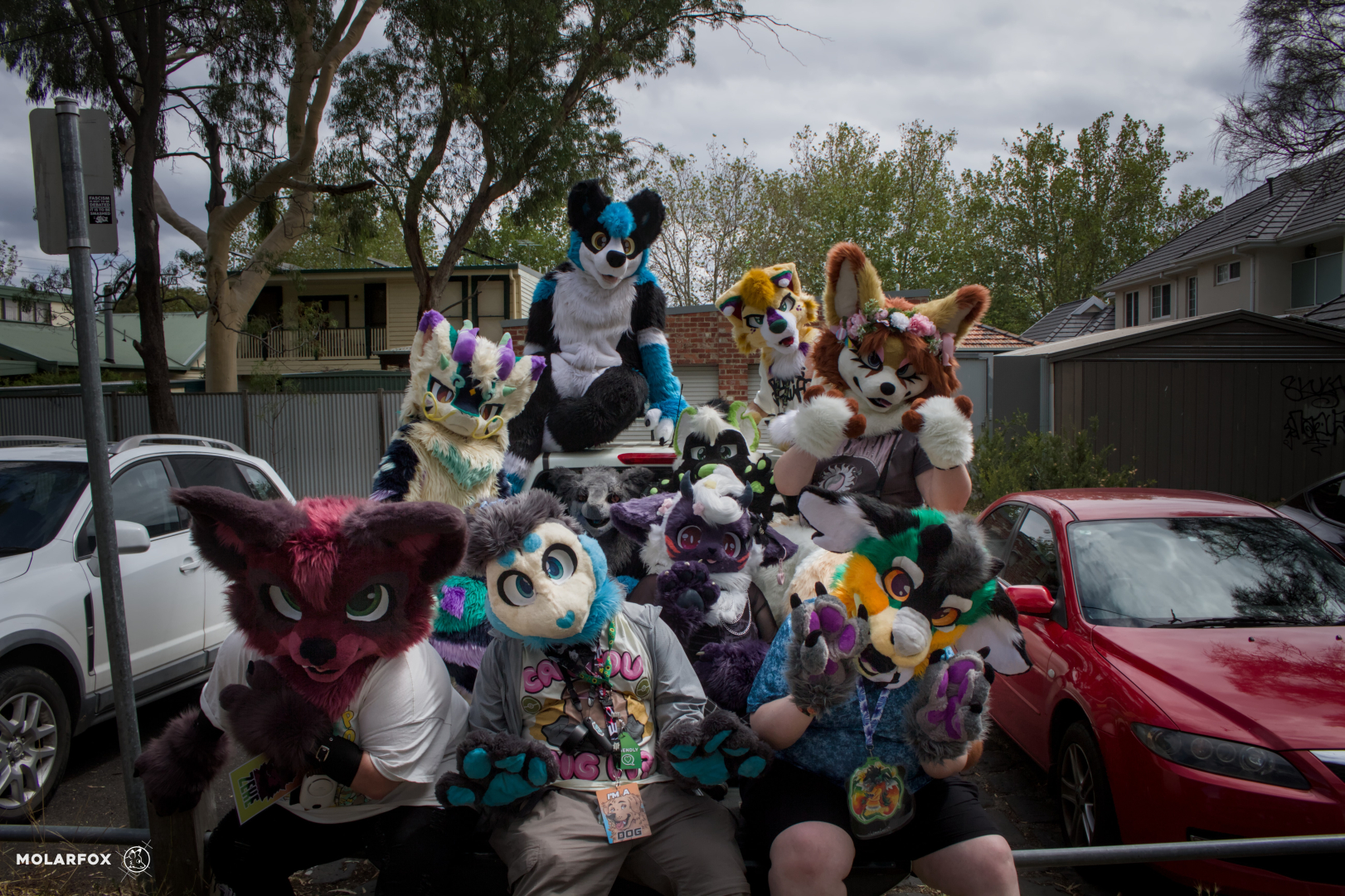 A number of fluffy and colourful fursuiters sit in the back (tray) of a white Nissan Navara 4x4 ute. The picture is shot facing directly into the rear of the ute, and a high enough angle to see everyone. Fern the dog, raising their paws up towards the camera, is in the front and furthest right. To the left of them is Calypso the blue Spaniel, who has their paws on their knees bent upwards to show their paw beans to the camera, Sitting on the side of the tray is Indie the Fennec fox. Behind her is Wattlebarks the dog, who's standing on the rear tyre and peeking into the image. Shadowrk9 the wolfdog, sitting on the roof racks, sits above everyone else. Ryko the noodle-dragon is standing on the rear tyre on the other side, standing below Shadowrk9 and adjacent to everyone else. Zeke the maroon wolf is seated on the tray to the left of the image in the front row. In the middle are Nebulilac the Lamb, Warstar the Sergal, and an as yet unidentified green and white hyena (?)