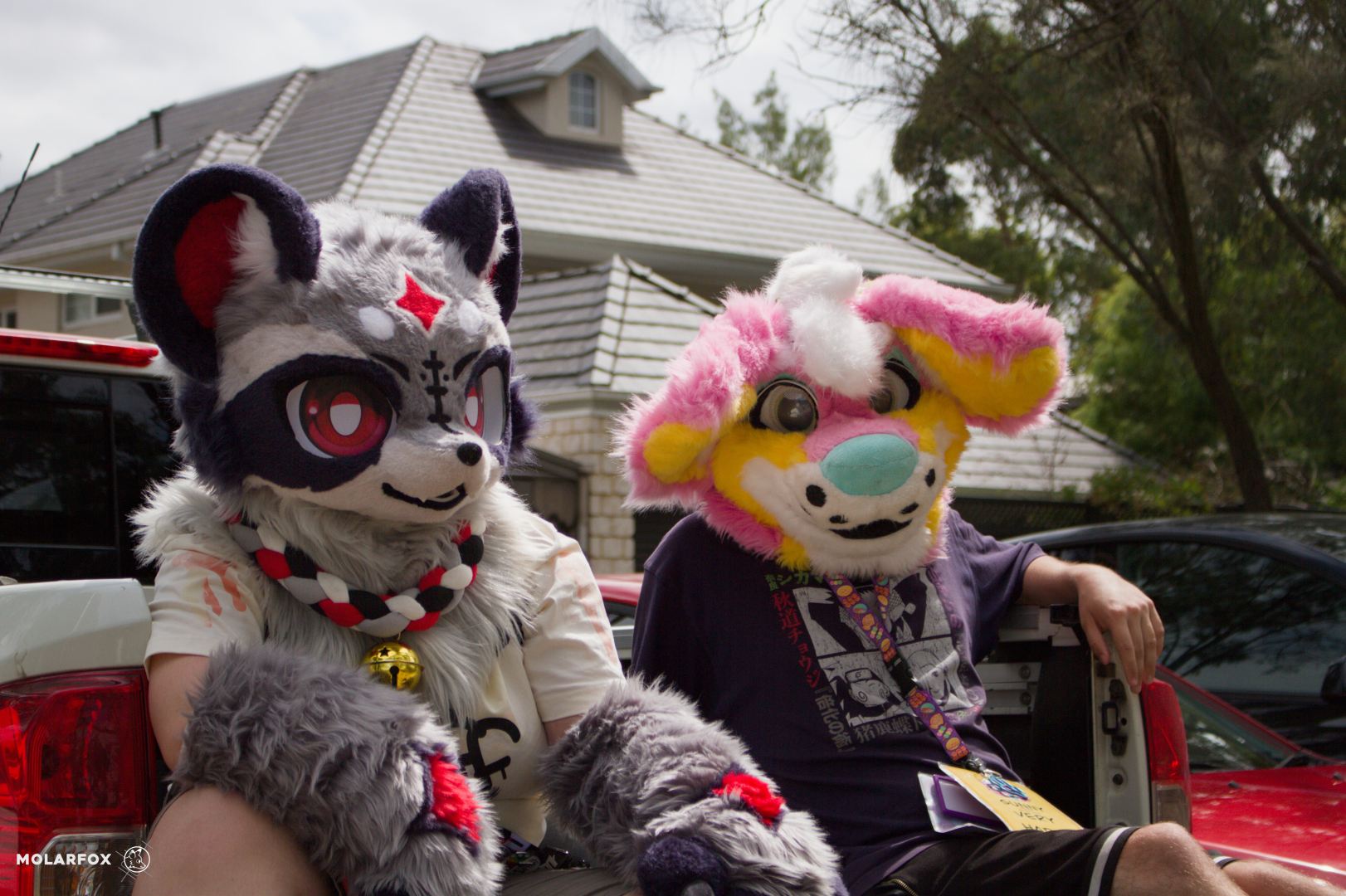 Two fluffy and colourful fursuiters sit on the tray door at the back of a white Nissan Navara 4x4 ute. The picture is shot at an angle to them, as they sit together on the hinged door. On the left is Pogo, the raccoon, wearing his signature collar + bell and sporting fluffy grey paws. To his right is an as-yet unidentified fursuiter, possibly a canine, with fluffy pink fur with yellow accents.