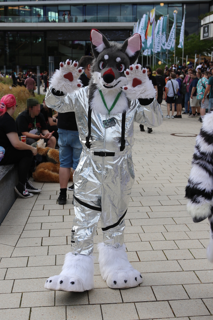 Full-body portrait photo of a grey and white dog fursuiter, wearing a shiny fabric costume reminiscent of Mercury-era space suits. They are walking outside with paws raised, waving to their adoring fans.