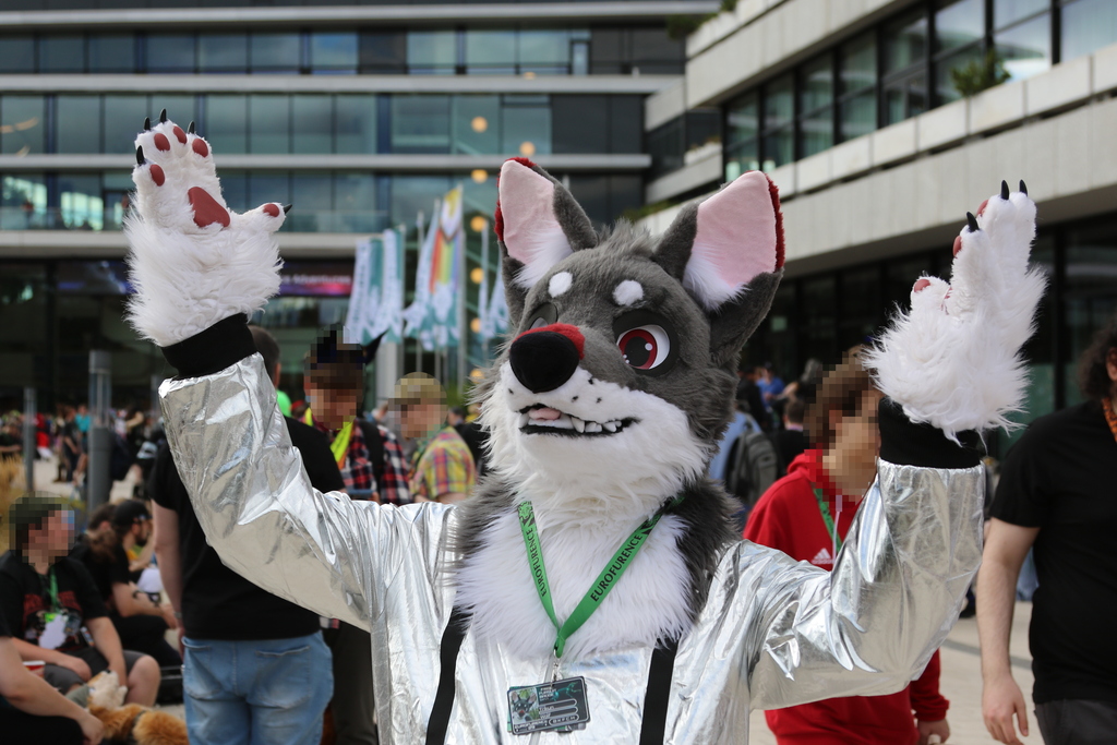 1/3-length portrait of the same fursuiter, raising their paws and snout to the sky in thanks.
