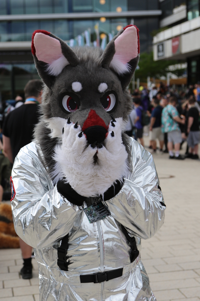 Half-length portrait of the same fursuiter, holding their paws to their snout with an embarrassed expression.