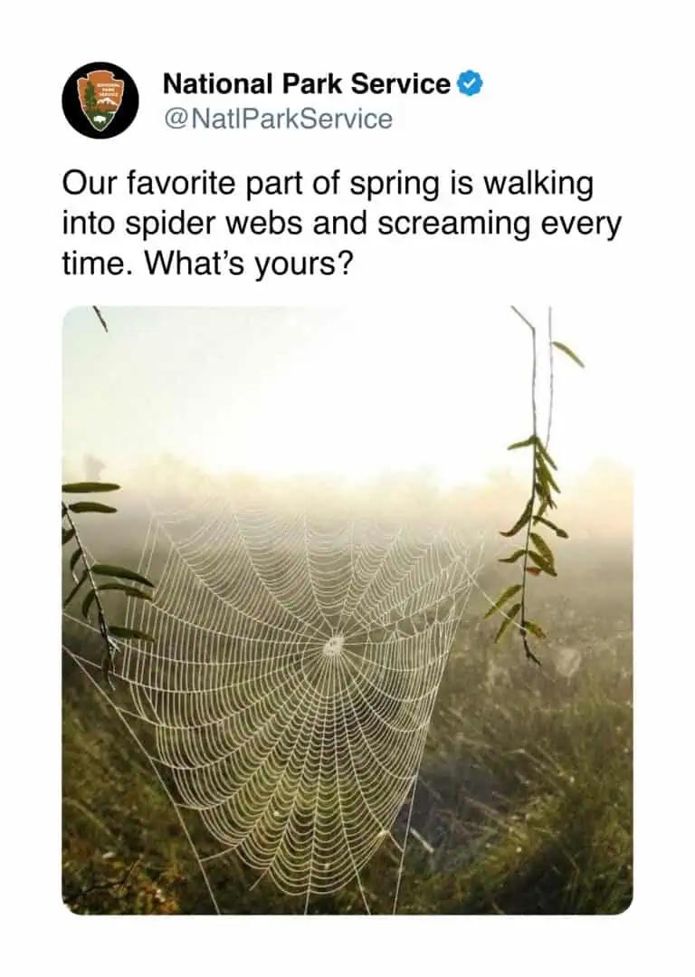 Our favorite part of spring is walking into spider webs and screaming every time. What’s yours?