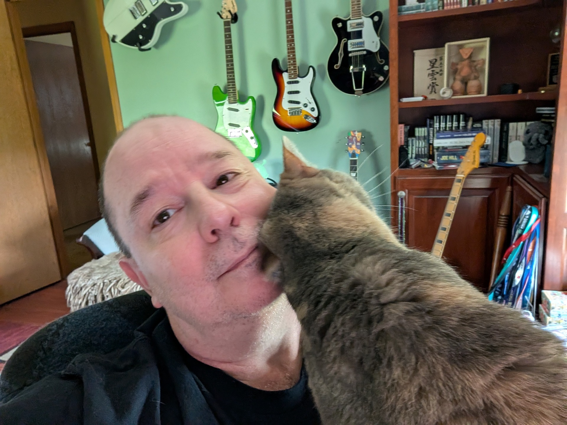 Sugar the cat rubbing up against my face to reclaim me