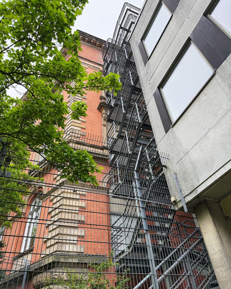 Metalltreppen und Gitterstrukturen verlaufen an der Fassade eines mehrstöckigen Gebäudes mit roten Ziegeln und hellen Steinelementen. Im Vordergrund steht ein grüner Laubbaum, rechts grenzt ein modernes Gebäude mit grauer Fassade und dunklen Fensterrahmen an. Die Perspektive ist von unten nach oben gerichtet.