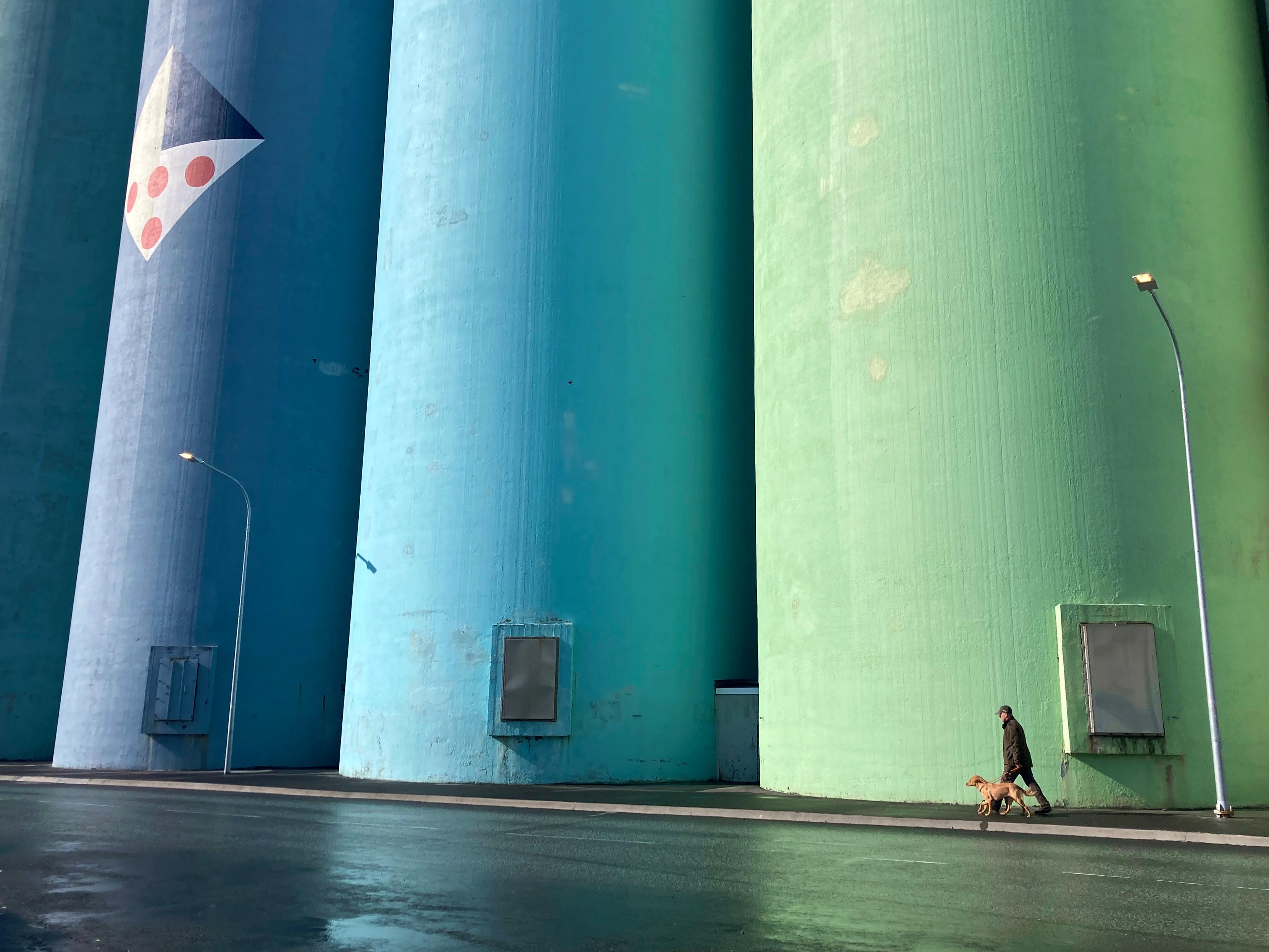A man walking his dogs past a colourful cement plant