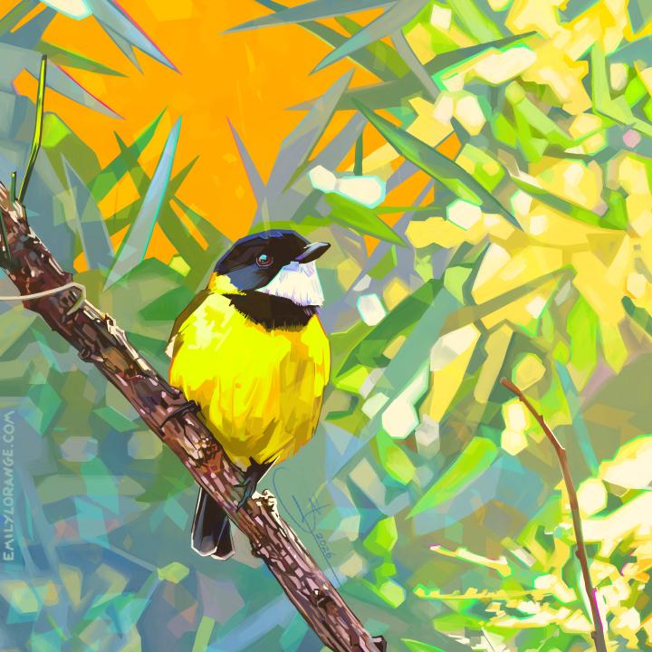 A digital painting of a small, round bird sitting on a branch. He is mostly yellow, with a white chin and black marking on his neck and head. behind him, light filters through the leaves on a tree.