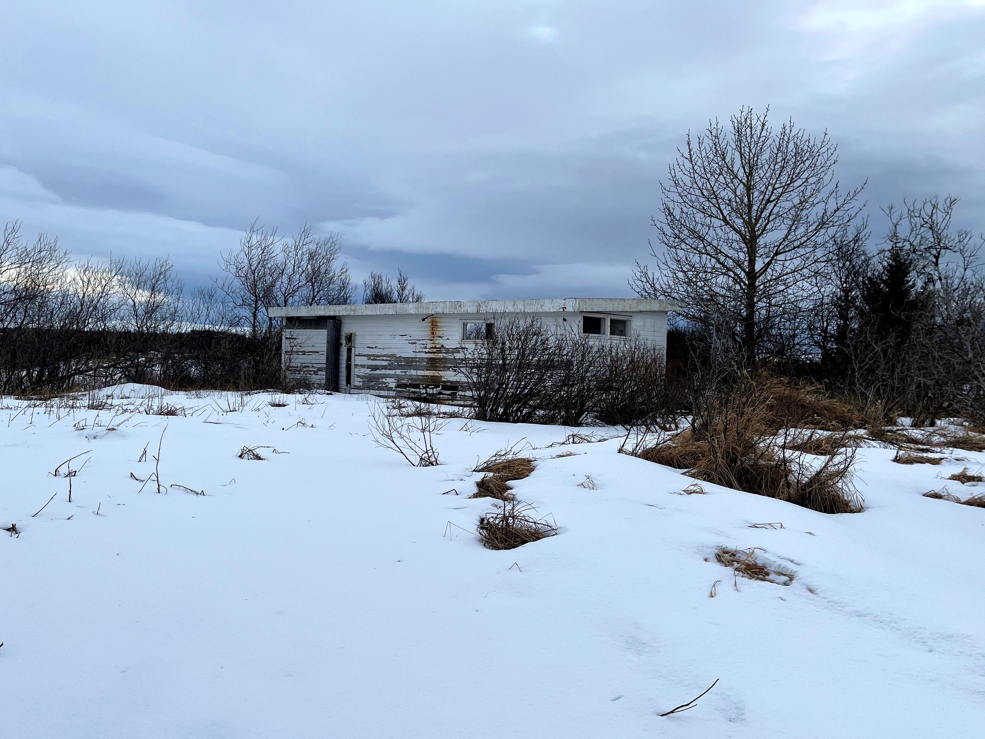 An abandoned summer cabin surrounded by snow and trees.
