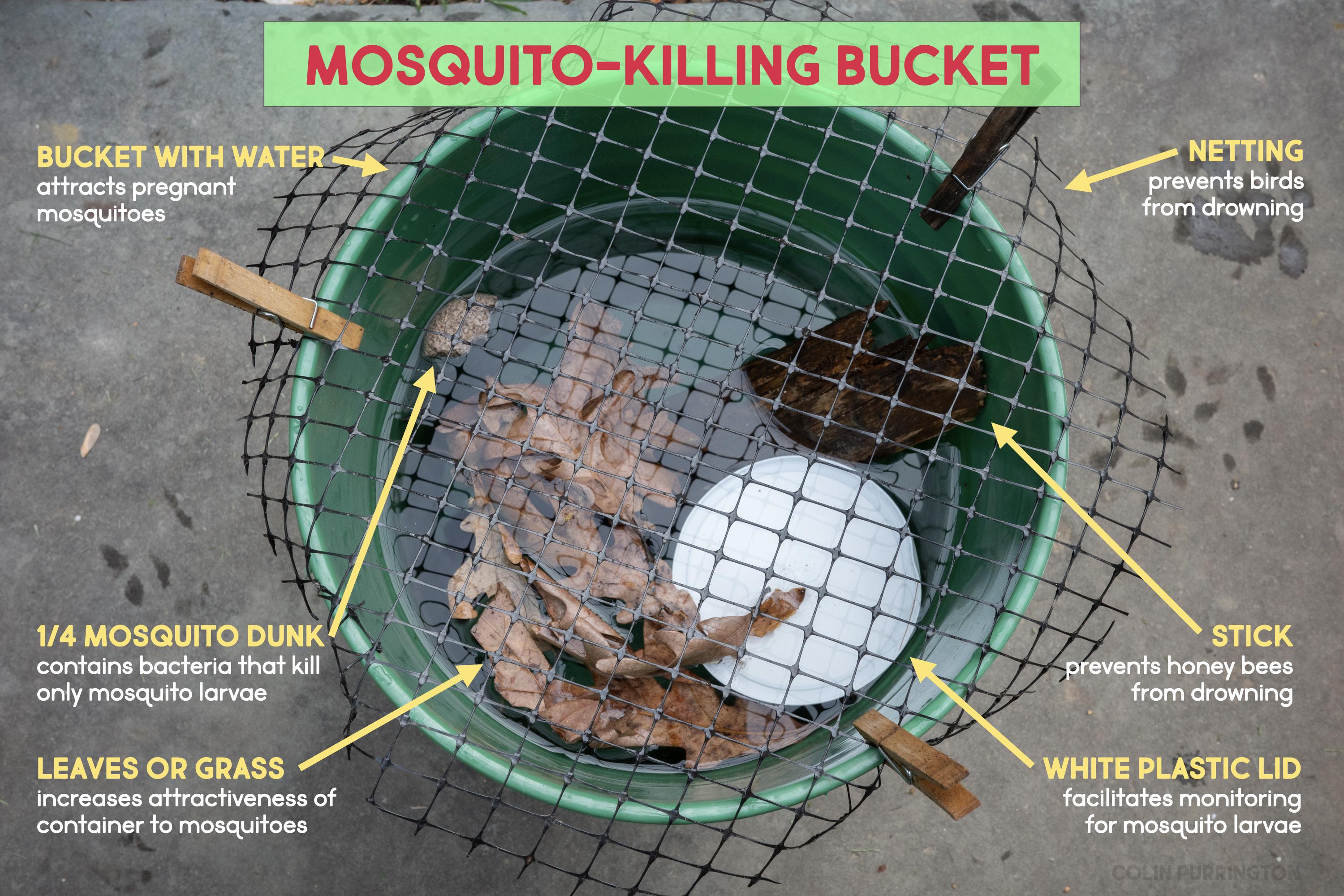 Photograph of a net-topped green bucket containing water, dried oak leaves, a small flat log, and a white plastic yogurt lid. Annotated with the blocks of text next to arrows: bucket with water (attracts pregnant mosquitoes), 1/4 Mosquito Dunk (contains bacteria that kill only mosquito larvae), leaves or grass (increases attractiveness of container to mosquitoes), netting (prevents birds from drowning), stick (prevents honey bees from drowning), and white plastic lid (facilitates monitoring for mosquito larvae).