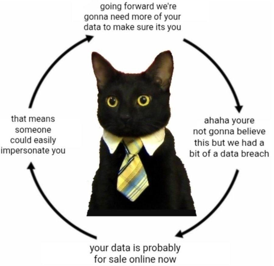 Meme of a black cat in a shirt collar and striped tie, surrounded by circular arrows showing a cycle: “We need more of your data to verify you” → “We had a data breach” → “Your data is probably for sale online now” → “Someone could easily impersonate you” → back to needing more data.