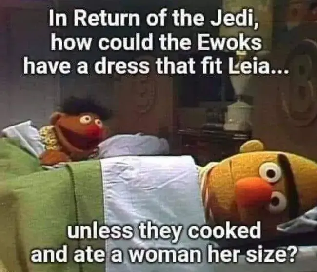 Bert and Ernie lying in bed. Bert says to Ernie: "IN RETURN OF THE JEDI, HOW COULD THE EWOKS HAVE A DRESS THAT FIT LEIA...UNLESS THEY COOKED AND ATE A WOMAN HER SIZE?