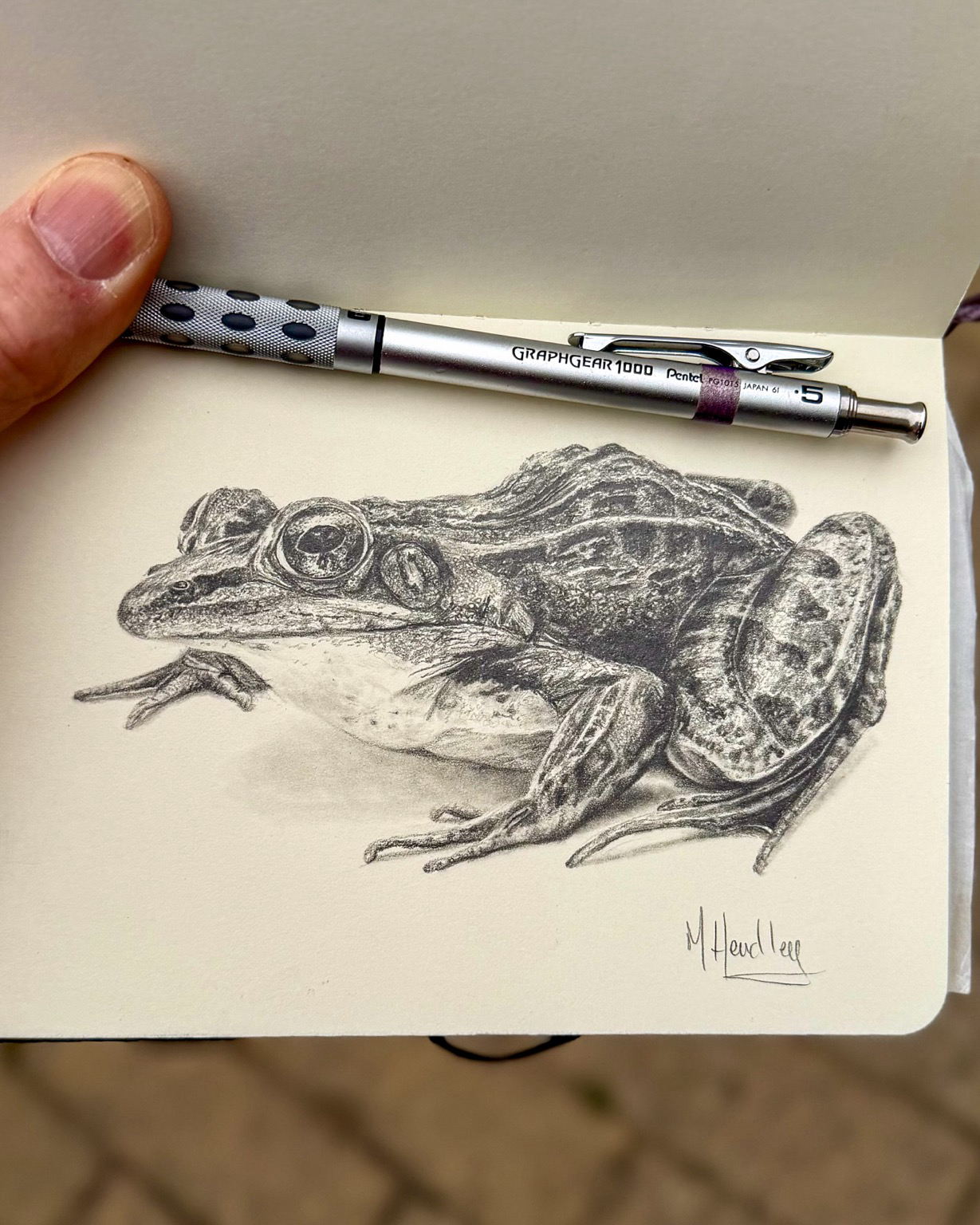 Graphite drawing of a southern leopard frog in a sketchbook, shown in three-quarter view facing left. Detailed pencil work captures bumpy textured skin on the back, smooth pale belly, and large round eyes. A Pentel GraphGear 1000 mechanical pencil rests above the drawing.