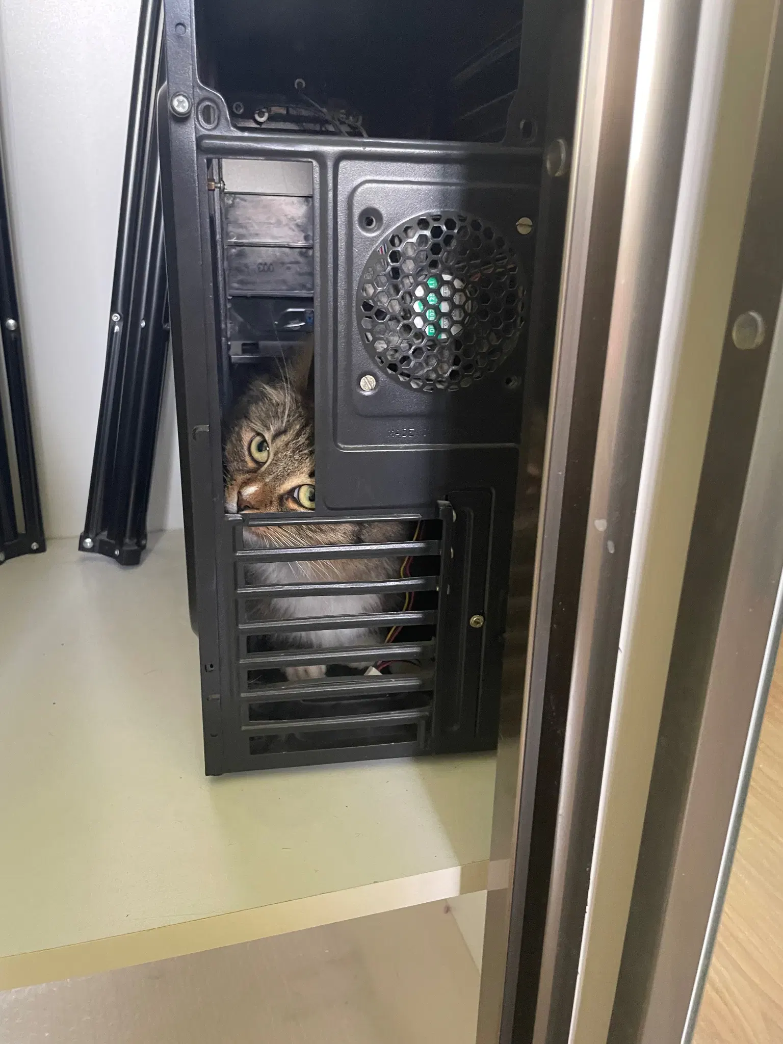 Now her head is tilted and she's sniffing the case she's in