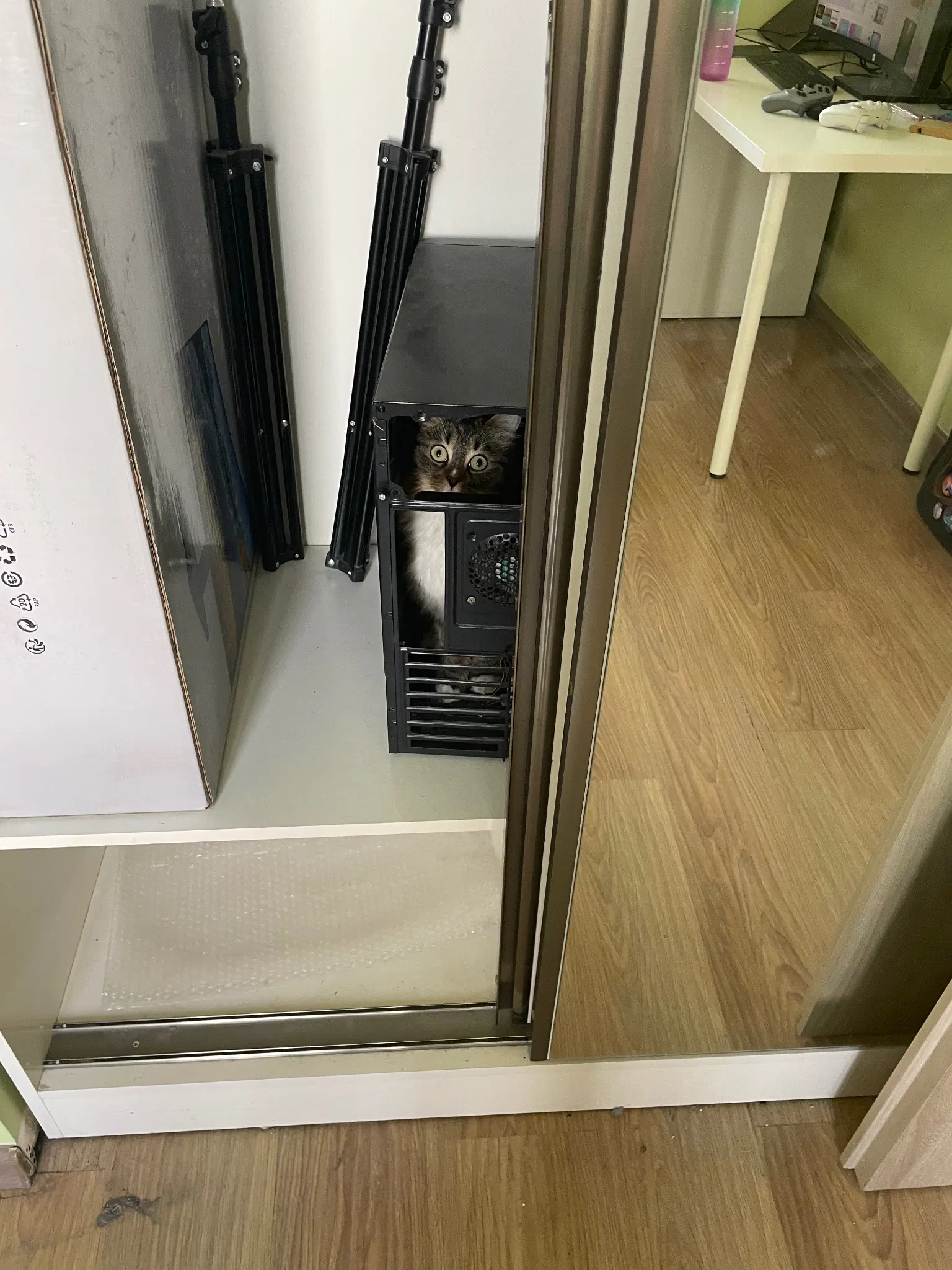 View from further away, she's staring at camera through the power supply unit hole