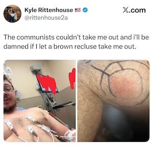Rittenhouse: "The communists couldn’t take me out and i’ll be damned if I let a brown recluse take me out"