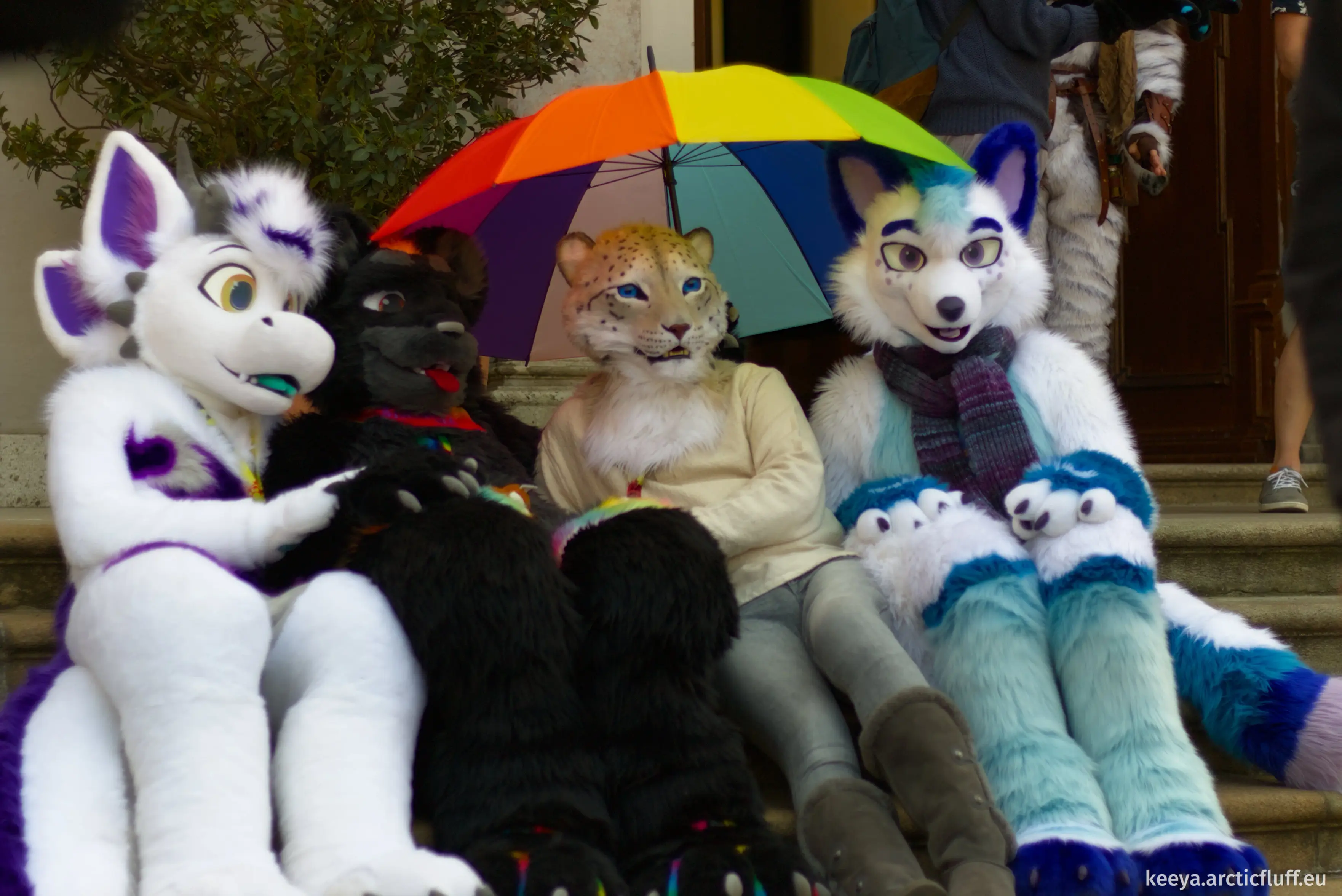Photo of four fursuiters sitting on stone stairs outside a building: Karb, a white dragon with purple markings; Kianga, a black jaguar with rainbow stripes holding a large rainbow umbrella; Alexis, a realistic snow leopard sitting under the umbrella; and Polarie, an arctic fox with white fur and blue markings.