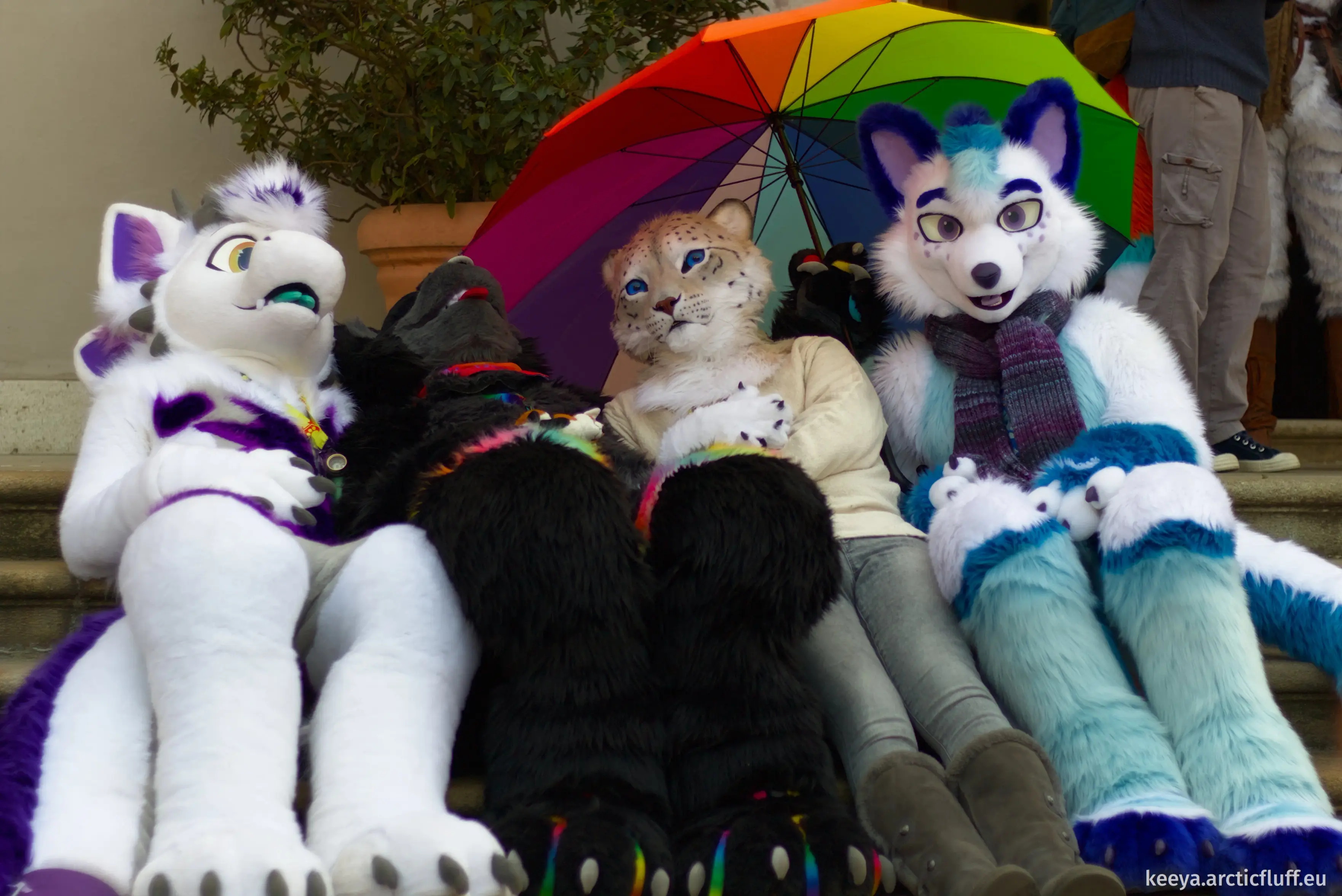 Similar photo, but now Karb and Kianga are lying back on the stairs, looking exhausted.