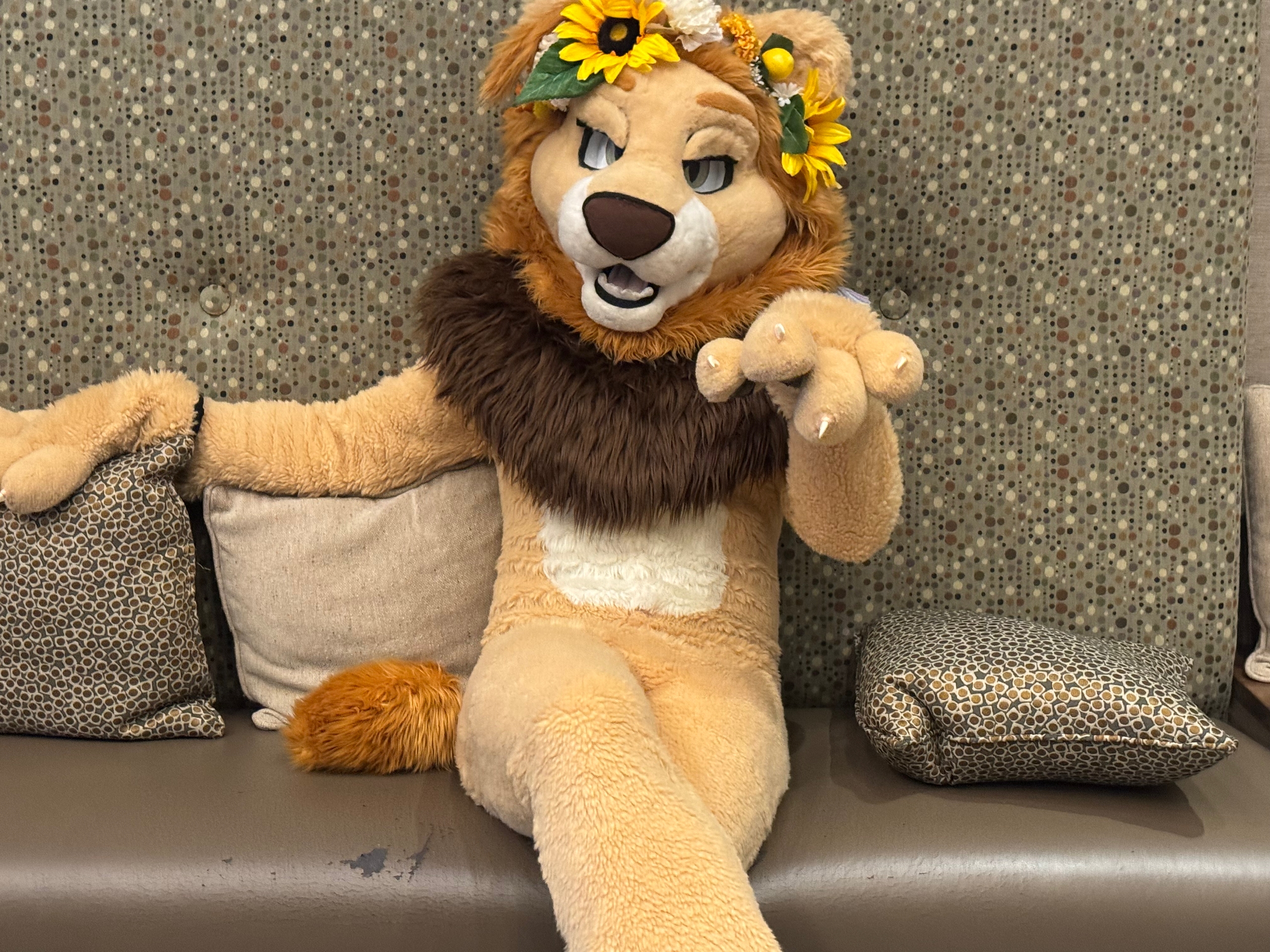 Couch meow pointing at you